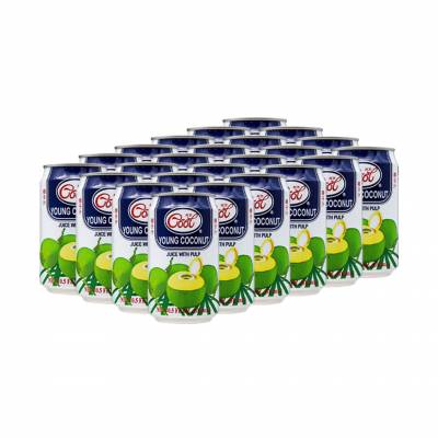 ICE COOL Coconut Can Carton